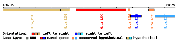gene map