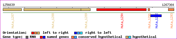 gene map