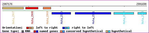 gene map