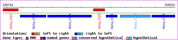 gene map
