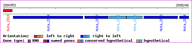 gene map
