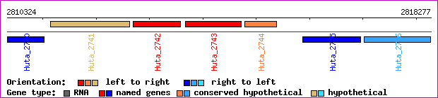 gene map