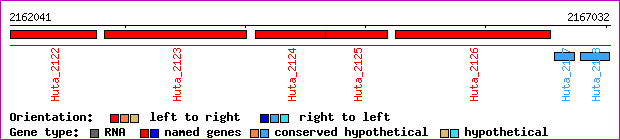 gene map