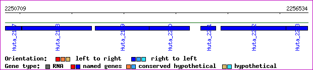 gene map