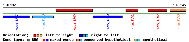 gene map