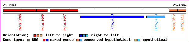 gene map