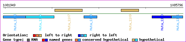 gene map