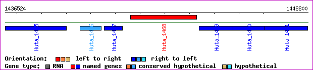 gene map