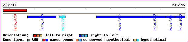 gene map