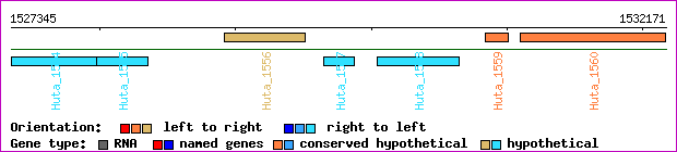 gene map