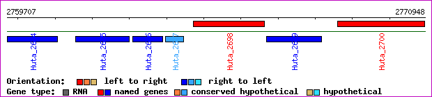gene map