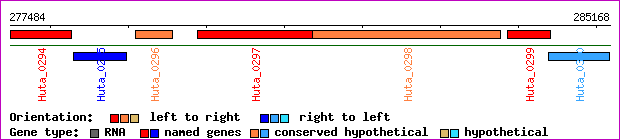 gene map