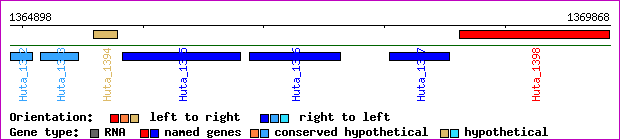 gene map