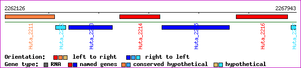 gene map