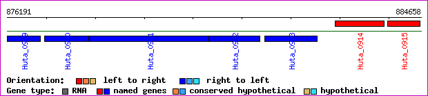 gene map
