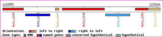 gene map