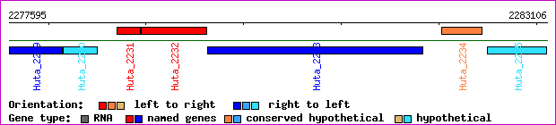 gene map