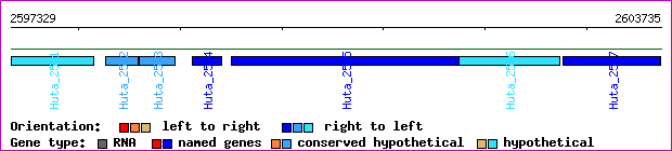 gene map