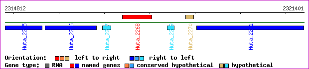 gene map