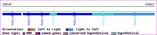gene map