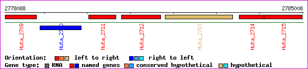 gene map