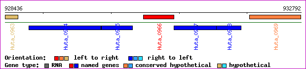 gene map