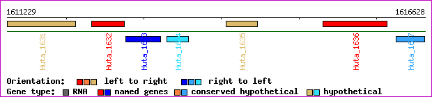 gene map