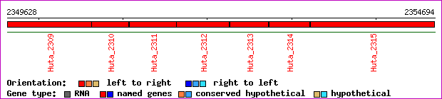 gene map