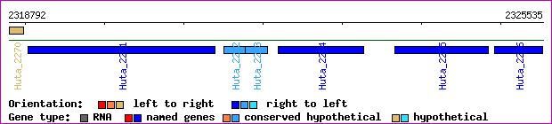 gene map