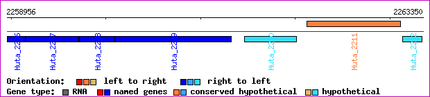 gene map