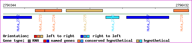 gene map