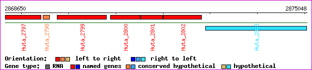 gene map