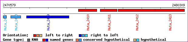 gene map
