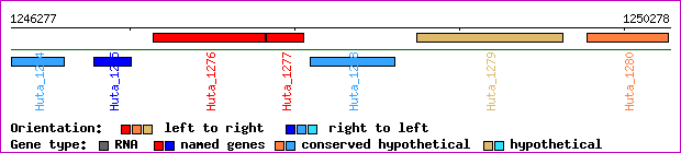 gene map