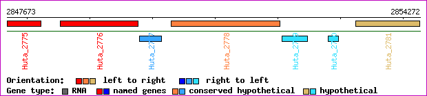 gene map
