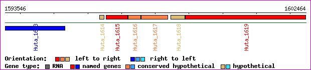 gene map