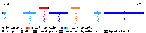 gene map