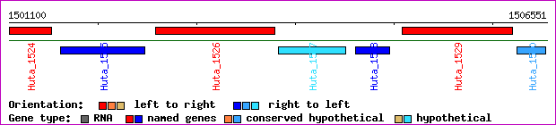 gene map