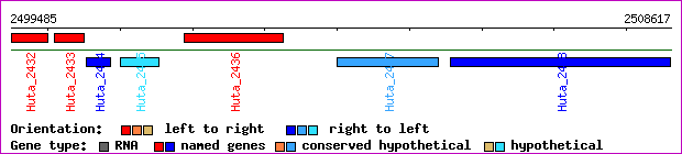gene map