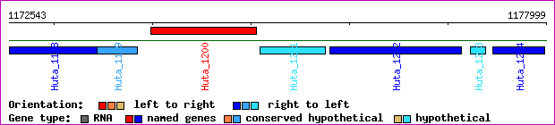 gene map