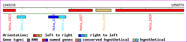 gene map