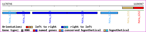 gene map