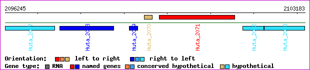 gene map