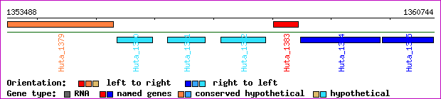 gene map