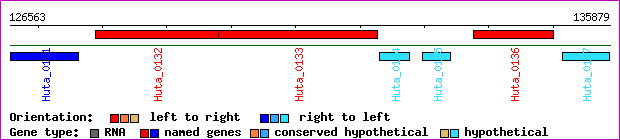 gene map
