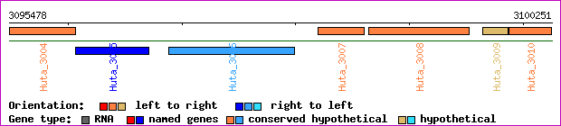 gene map