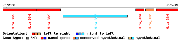 gene map