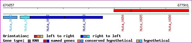 gene map