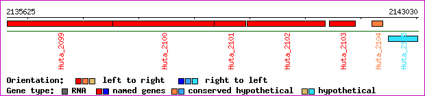 gene map