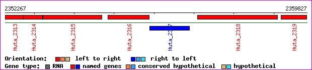 gene map